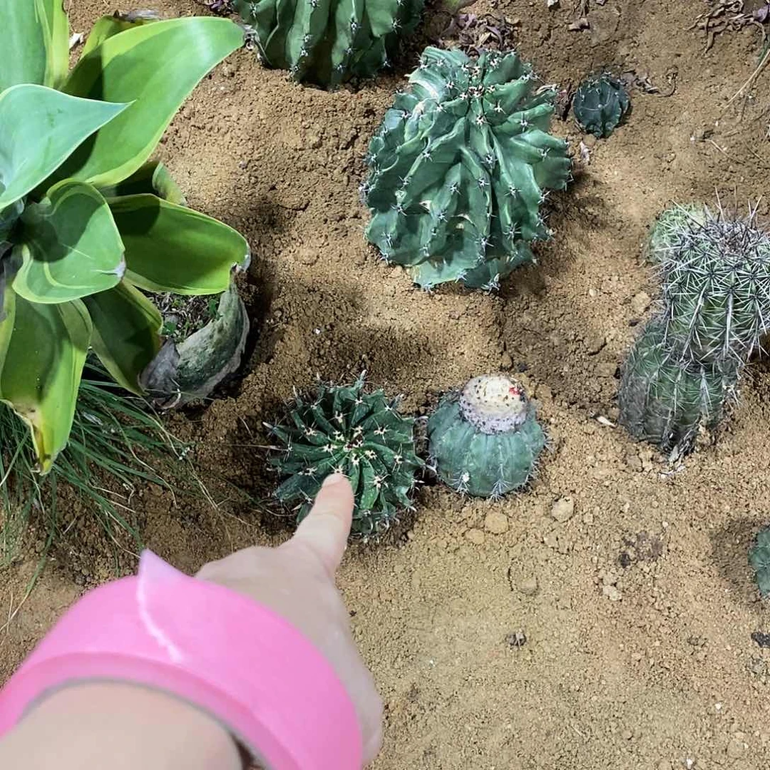 无花朵ઈ**梧000000000000000