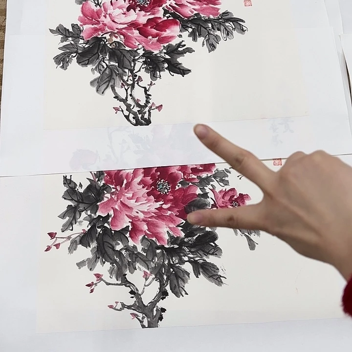 国画大**士花鸟等多种鸟类和鸟类为