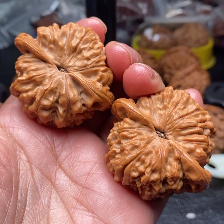 核桃手串/手链花****兔官帽