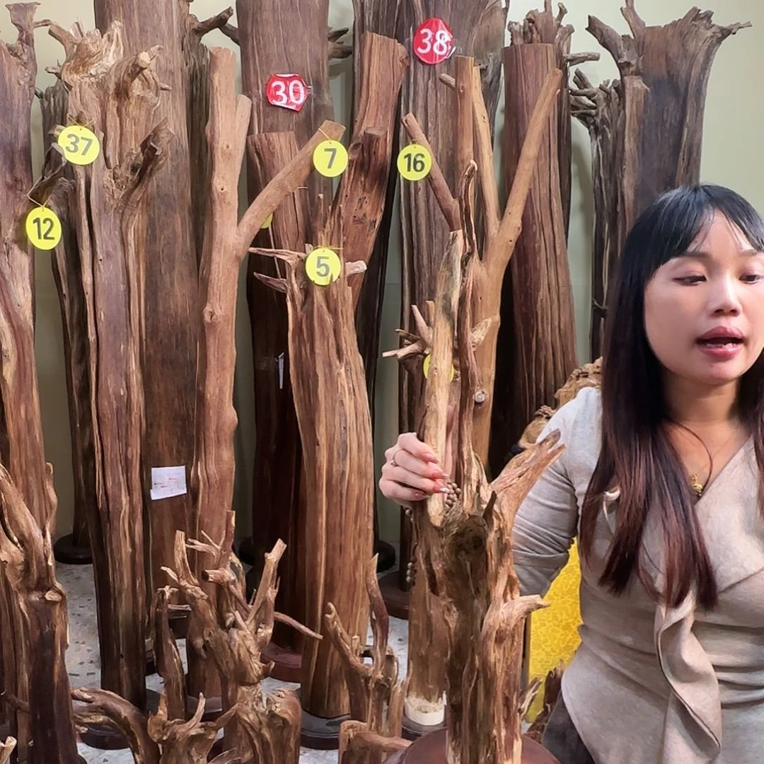 沉香摆件天然沉香原材料香料熏料