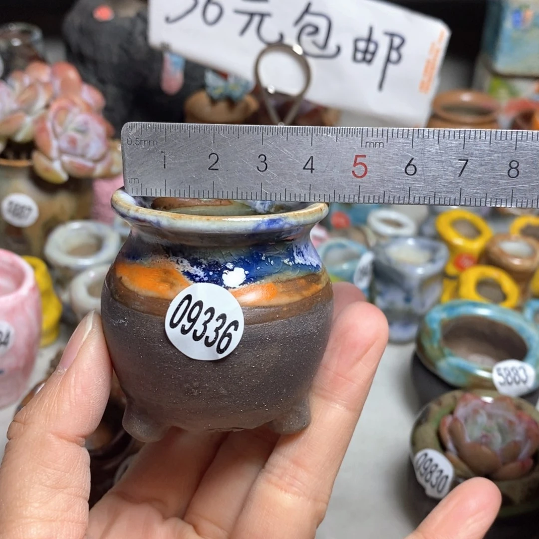 拍5送一个小礼物