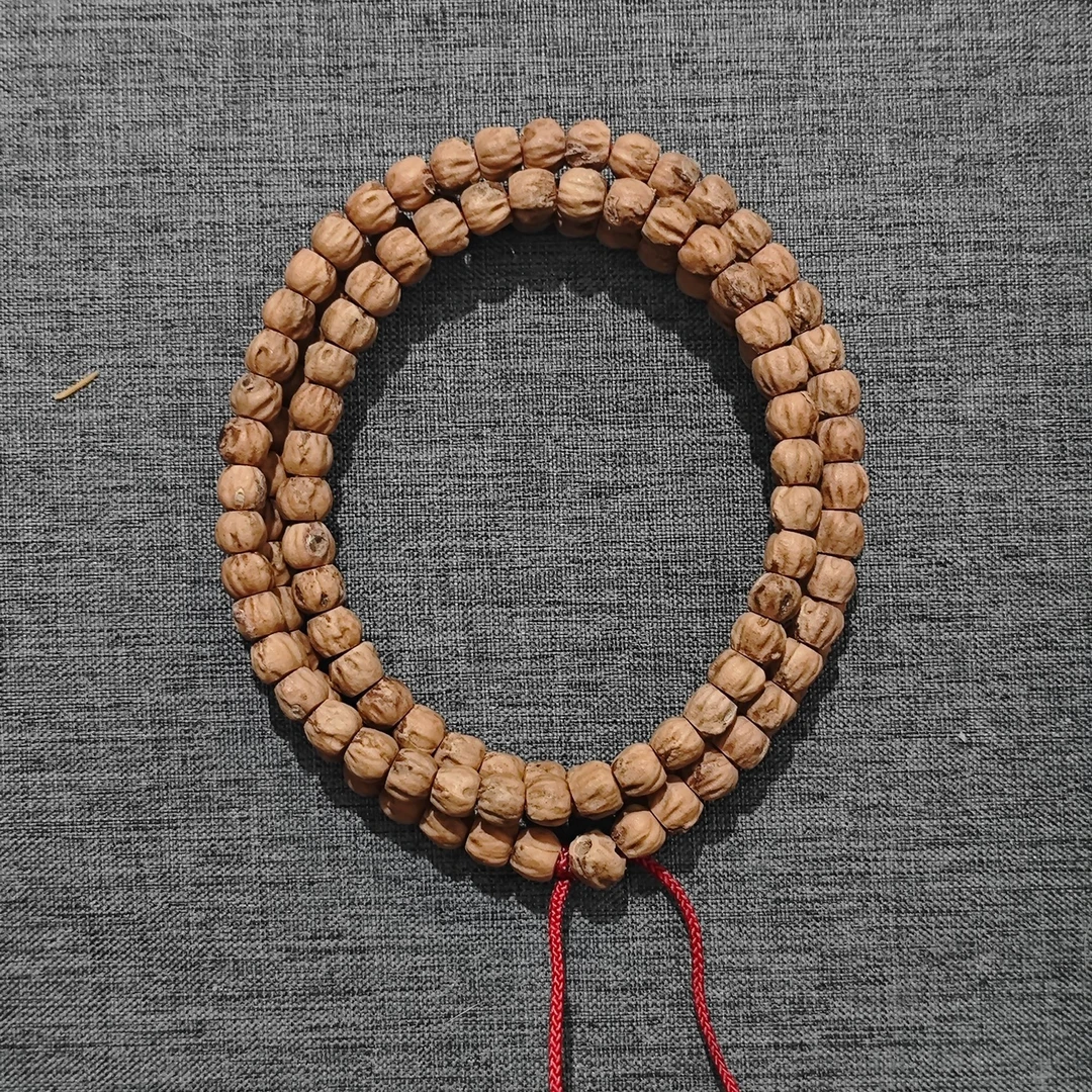 b525 红芽大方块百香 尺寸8