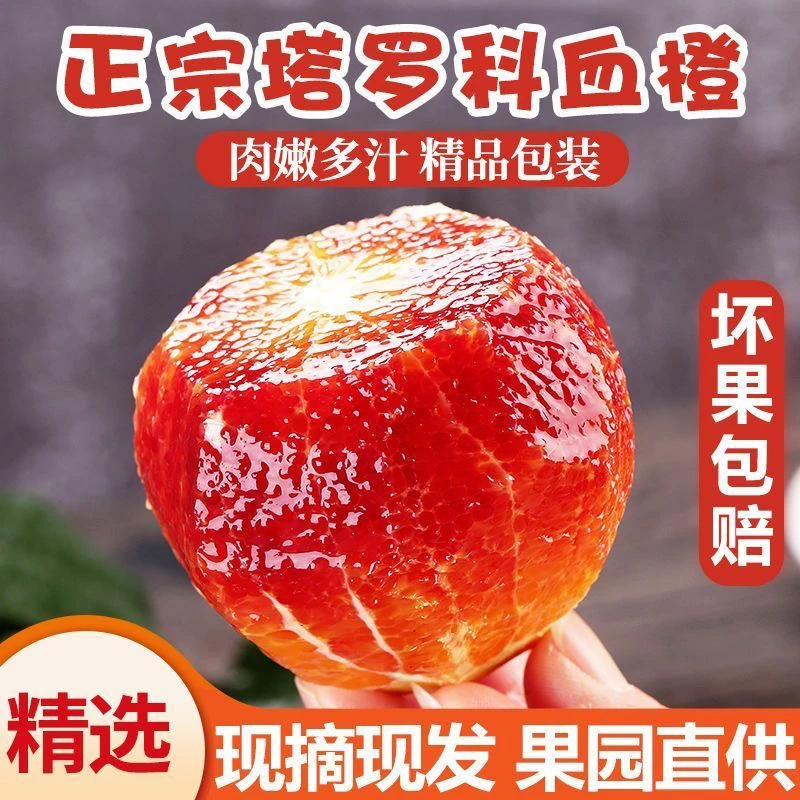 正宗塔罗科血橙红橙红心薄皮孕妇水果酸甜多汁细腻皮薄