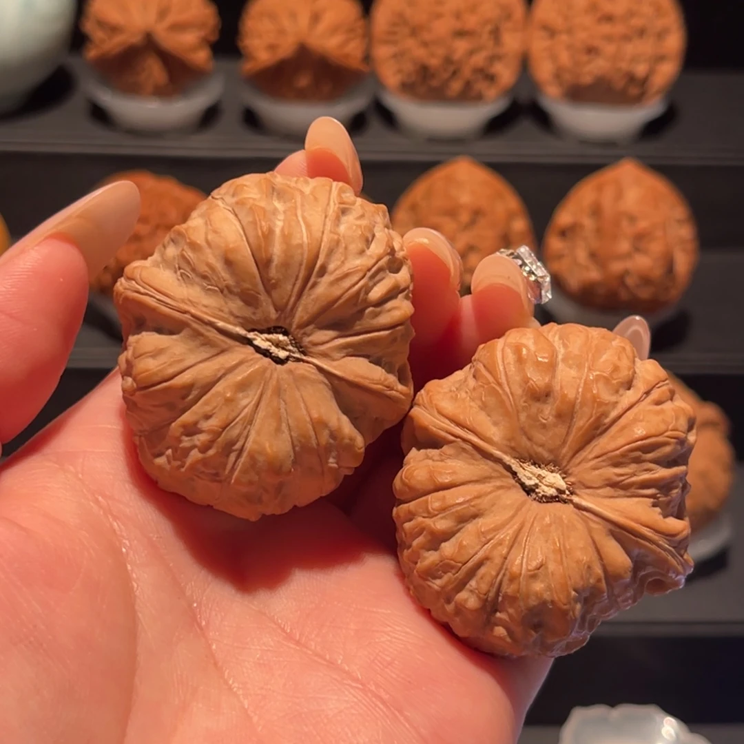 南瓜墩41，精品，货头