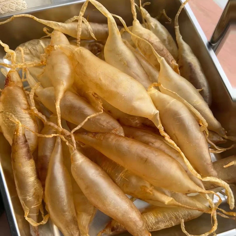 【丽掌柜】斗湖筒鱼胶62T鱼鳔干货250g