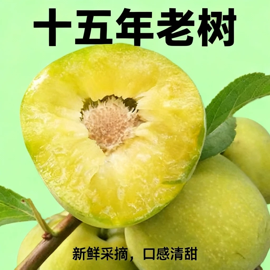 贵州六马蜂糖李树苗现挖现发原产地直发包邮