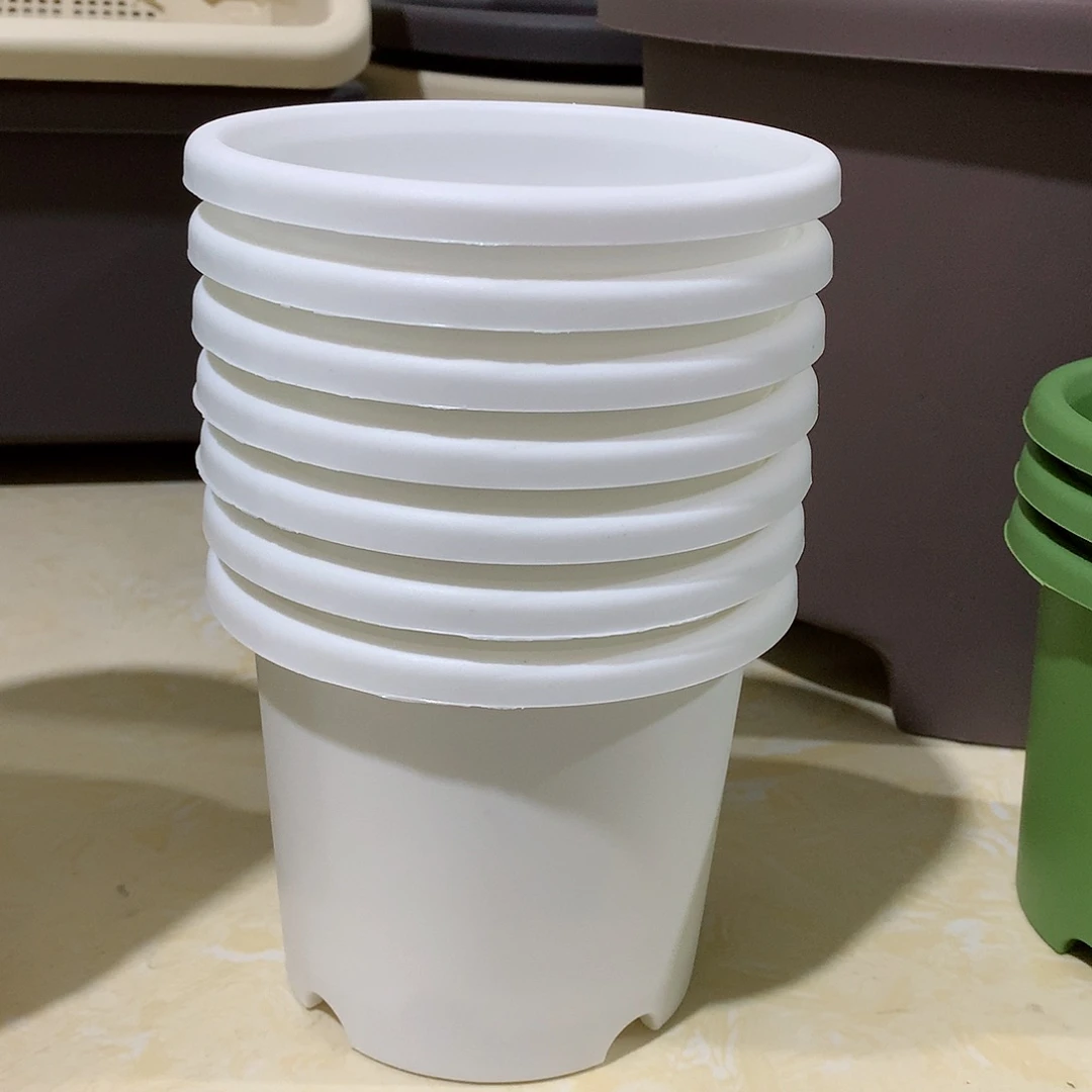 树脂四季口13.5白10个无托