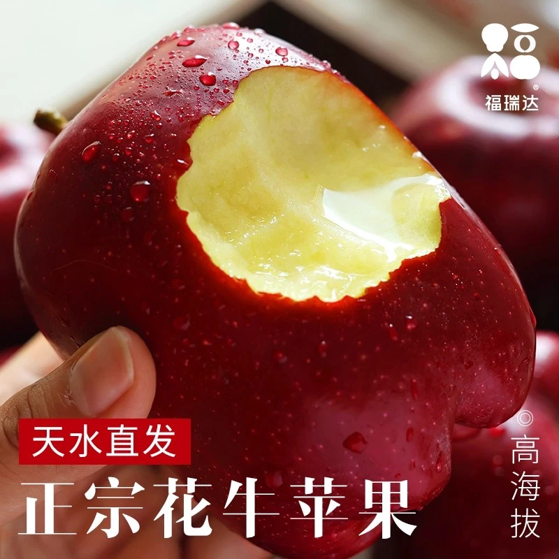 花牛苹果正宗甘肃天水9斤水果新鲜整箱当季糖心红蛇粉面丑平安果