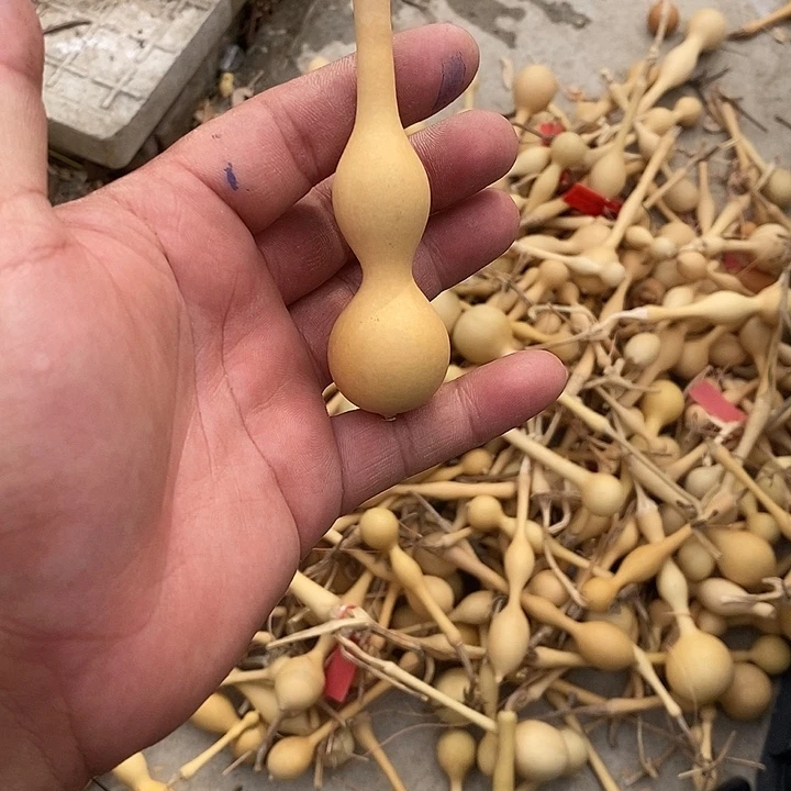 九***司手把精品文玩葫芦