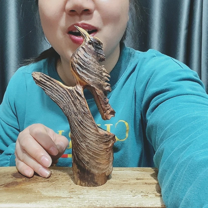 【闪购商品】林*百年树的设计风格