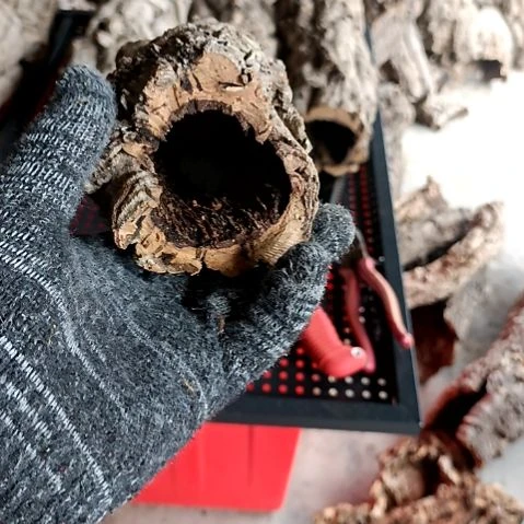 1*一物一拍一物一发