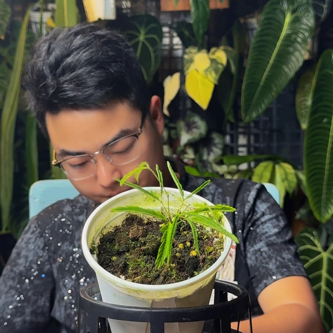 完全开放一物一拍J55