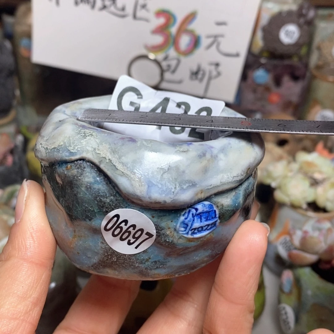 花盆拍3送一个小礼物