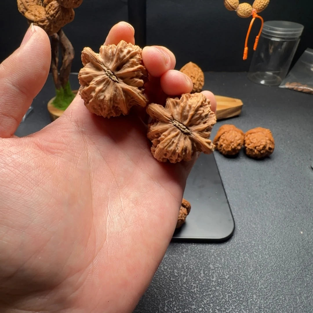核桃极品马蹄火焰