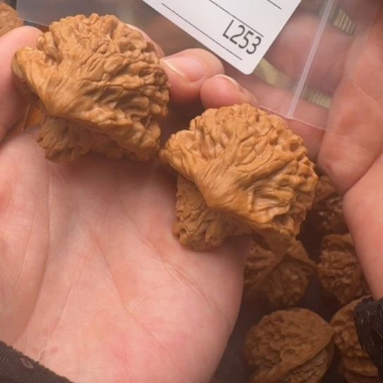 小***呢把件文玩核桃王中王蛇王抱子元宝蛇