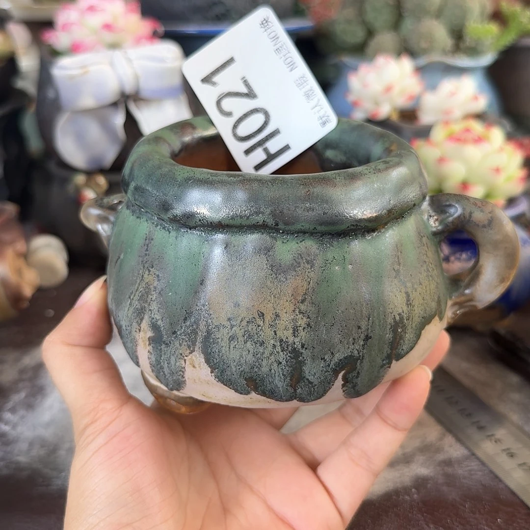 重庆小燕子欢迎大家021