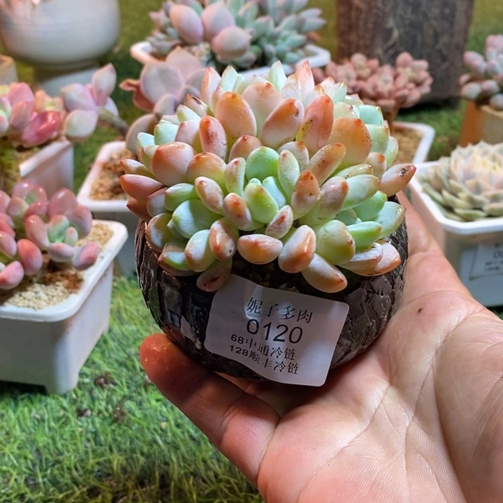 0120啊啊啊啊啊啊啊啊啊啊啊啊