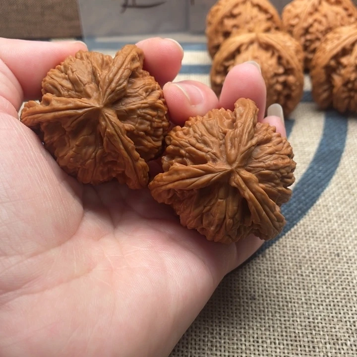 随***动核桃白狮子43核桃