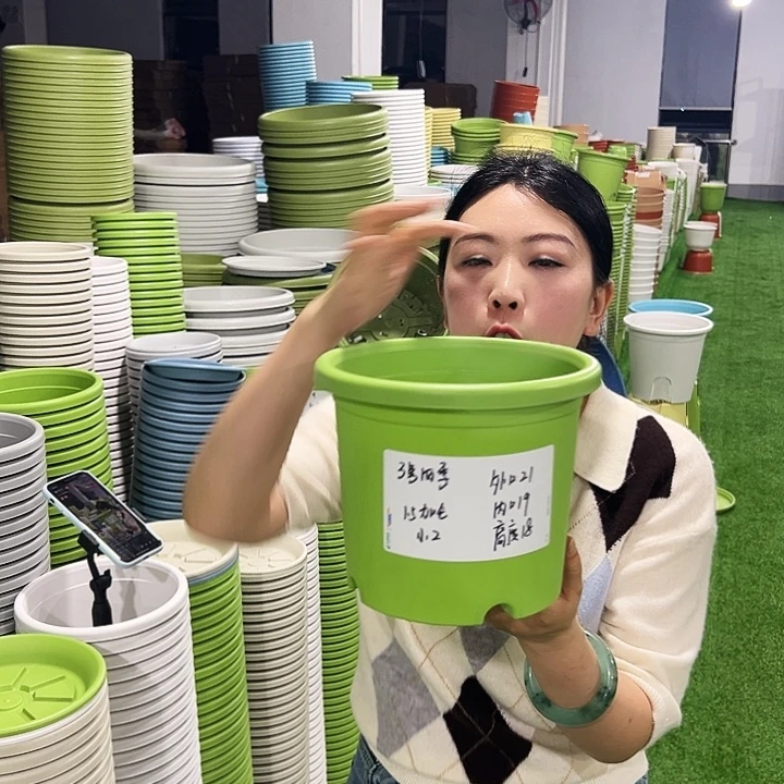 特价3号四季口21高18果绿10只无托