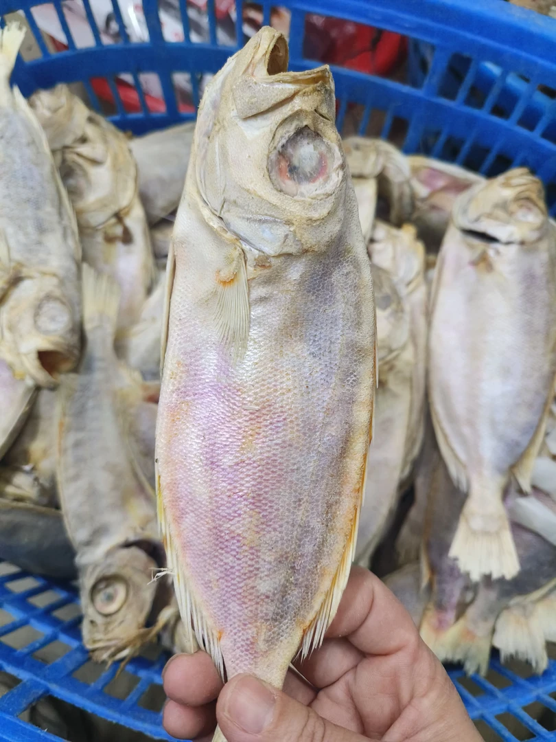汕尾本港就船梅香咸红目鲢 正宗霉香咸鱼 家乡的味道~贡贡香