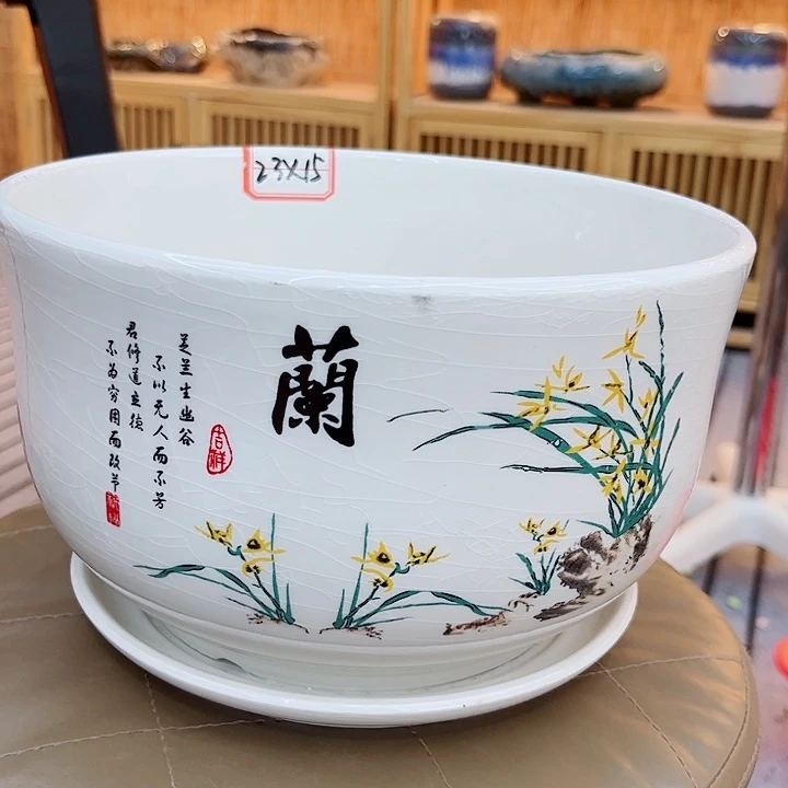 多肉植物陶瓷花瓶