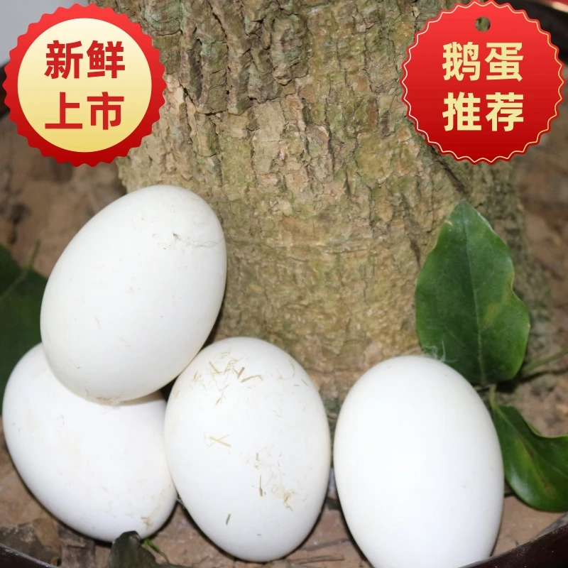 鹅蛋新鲜纯农家散养天然土鹅蛋孕妇去胎毒初生蛋80-100克12枚装