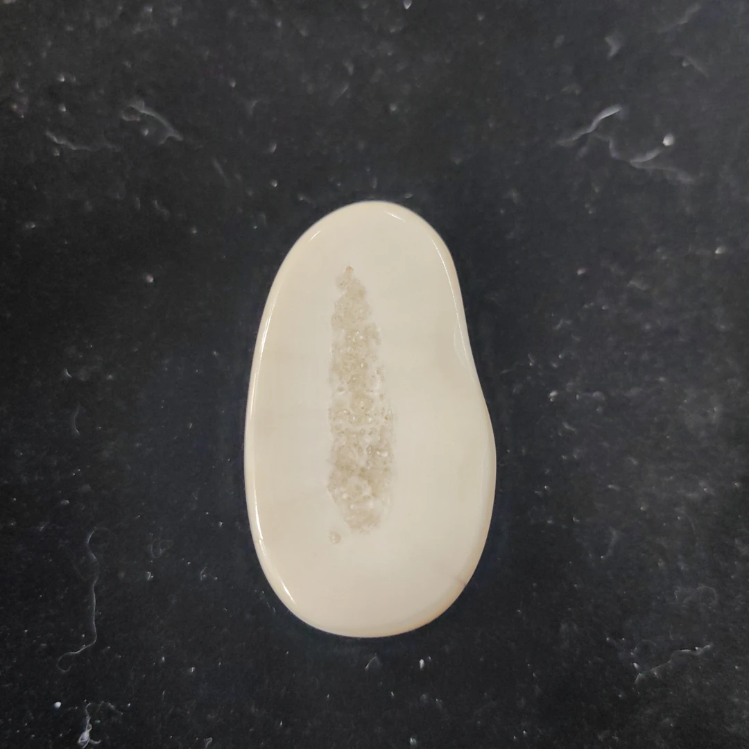 猛犸猛犸虬饼子WT581