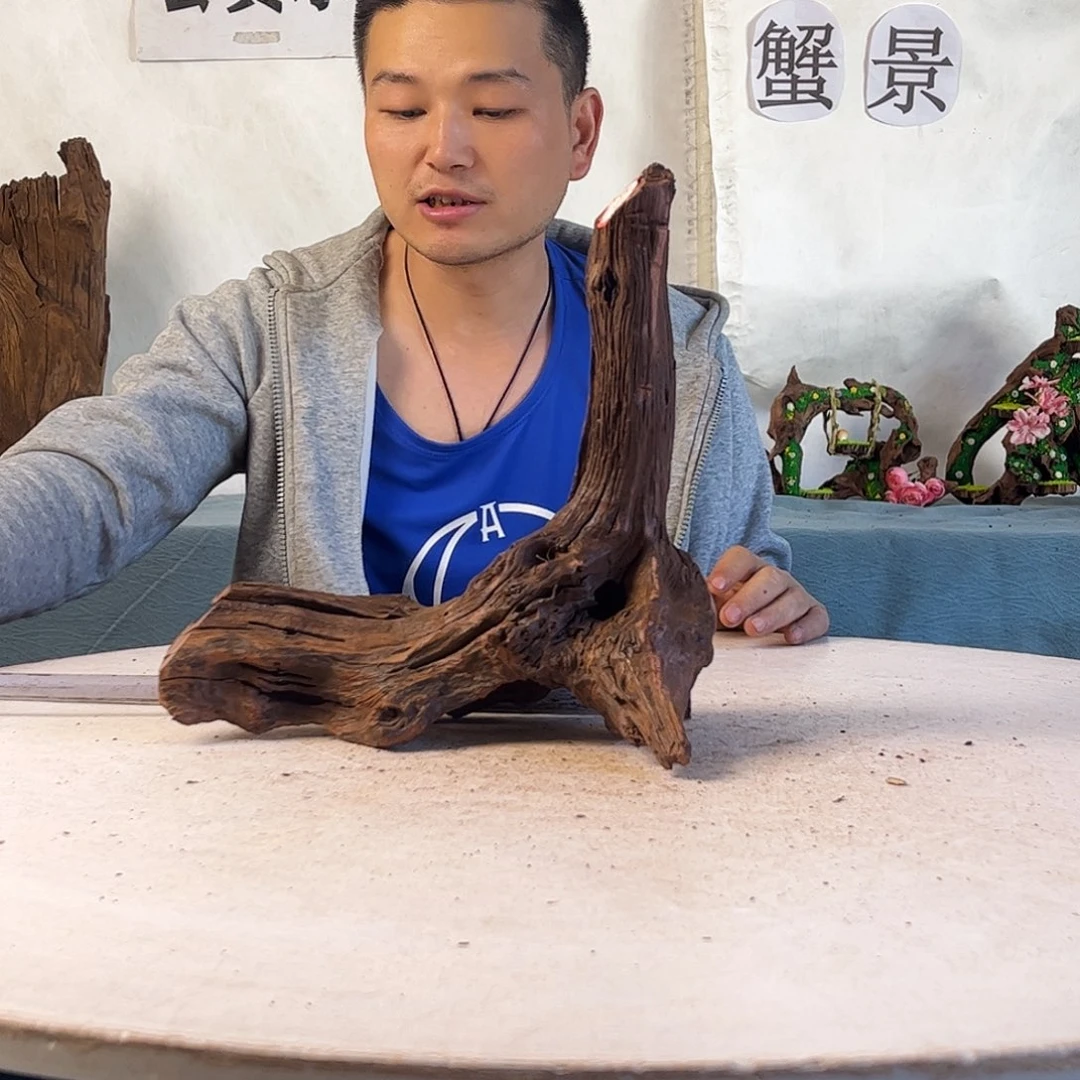 28.30.16 周末福利沉木造景爬宠造景