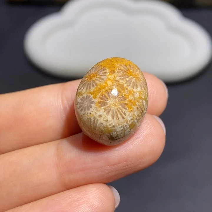 【闪购商品】未镶嵌珊瑚玉硅化玉