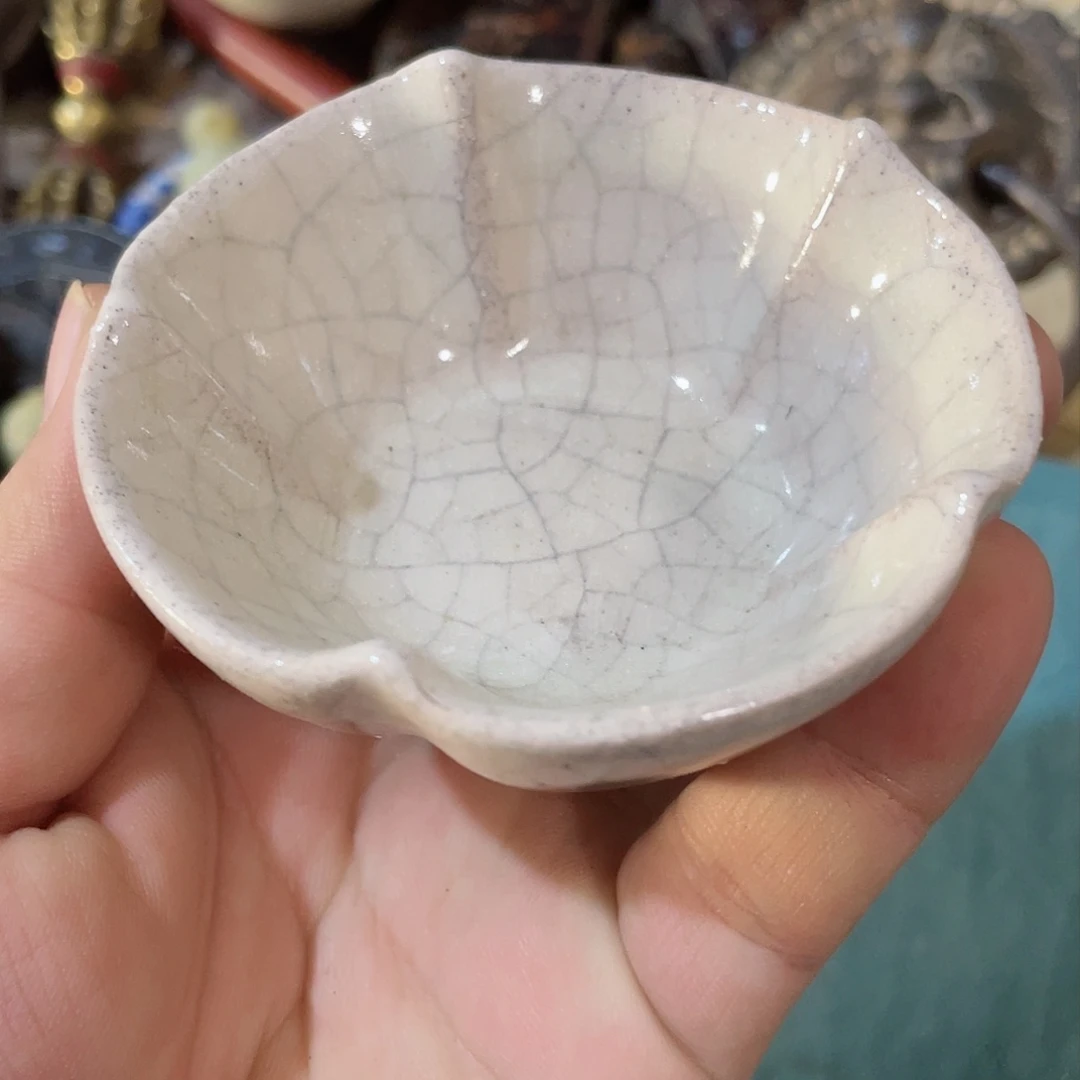 我的生活是一个人的