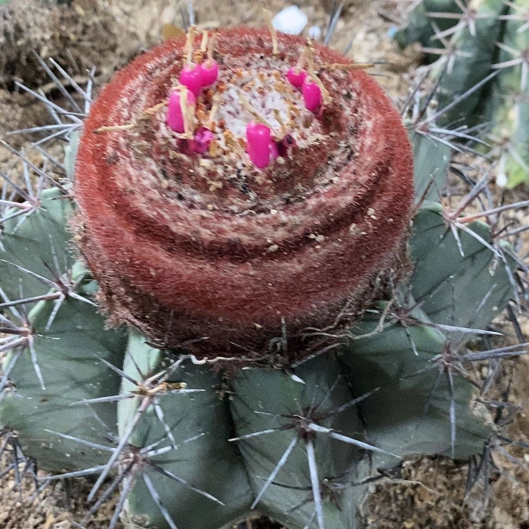 *****0000000000000000000层云