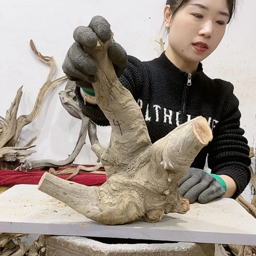 【闪购商品】柏木木****店我们都是好孩子