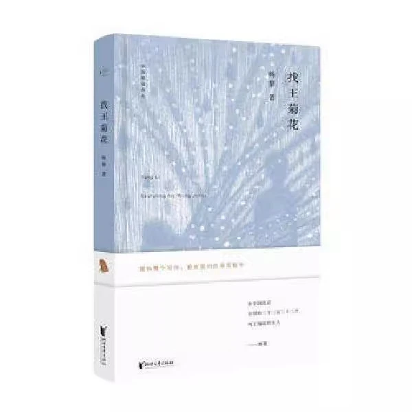 磨铁 中国桂冠诗丛·第二辑：找王菊花