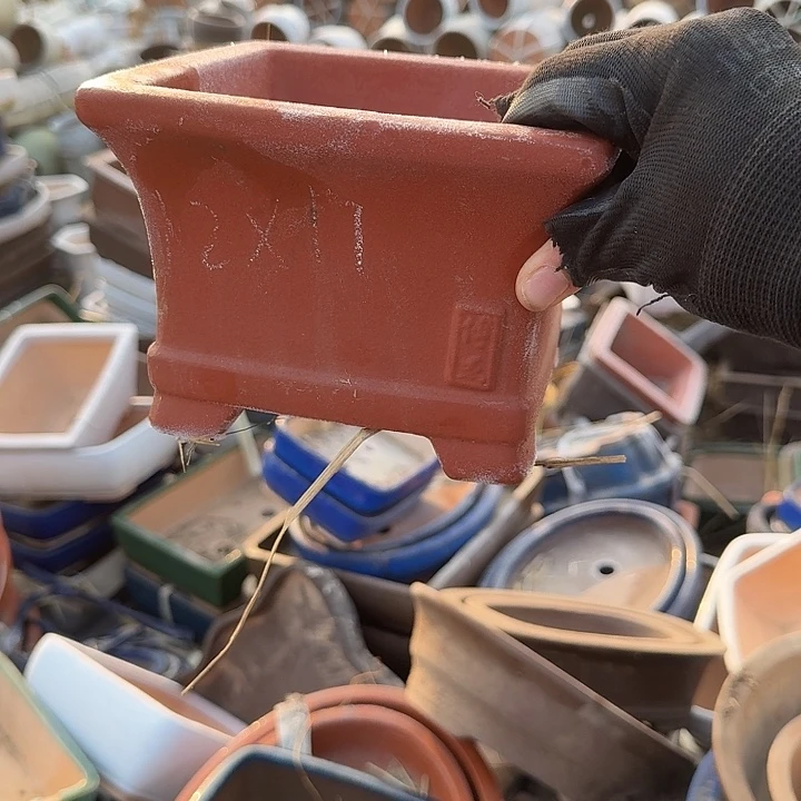 紫砂和花木两件产品等商品也相继