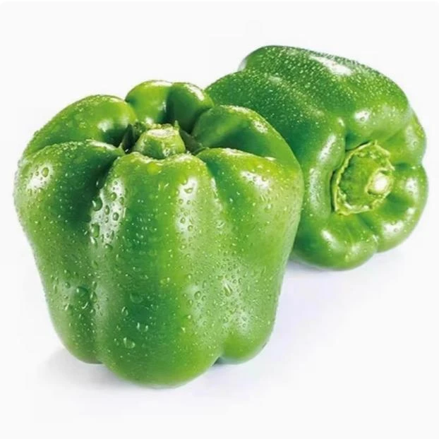 【新鲜】菜椒圆椒柿子椒甜椒薄皮青椒现摘蔬菜产地直发整箱5斤包邮