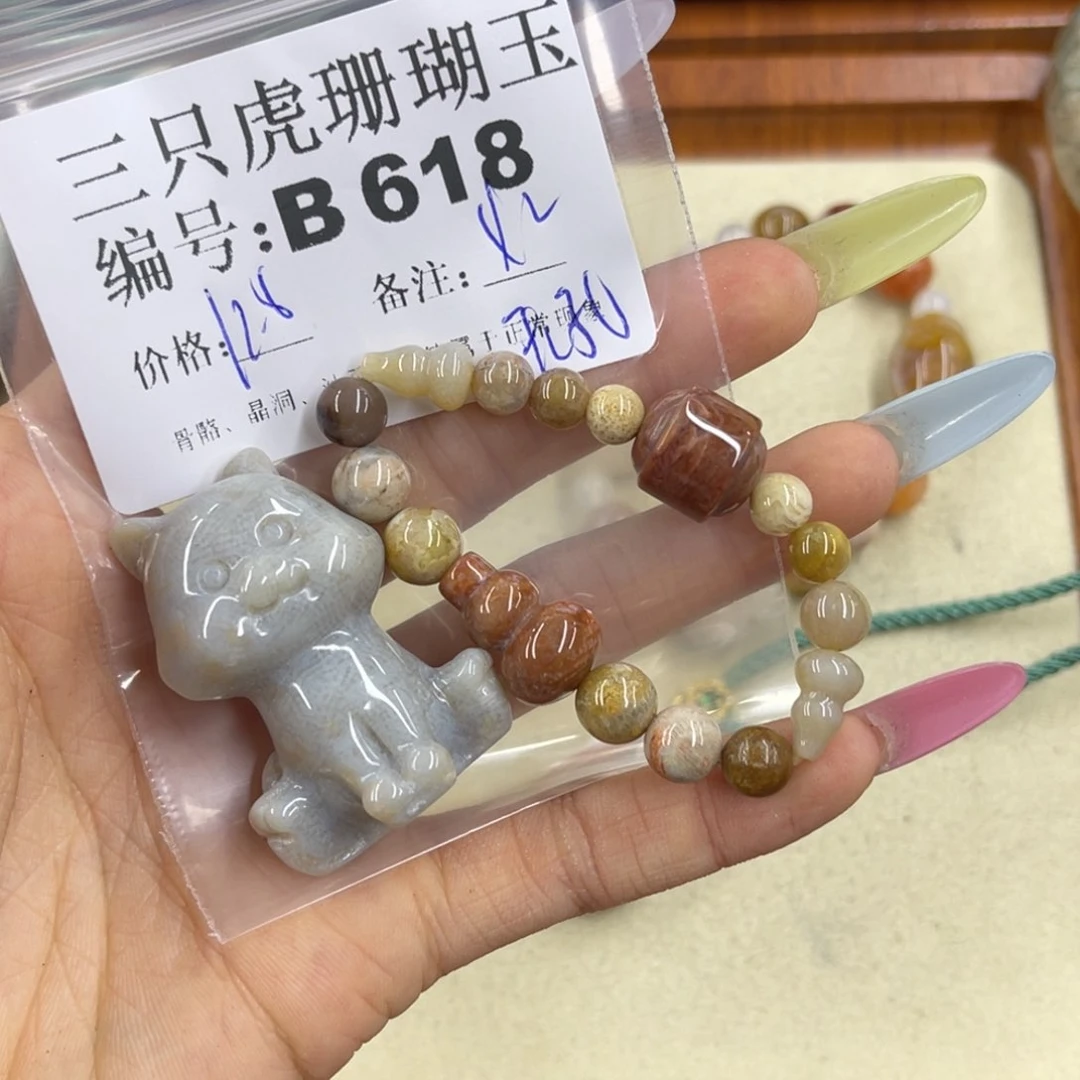 骄***年硅化珊瑚（珊瑚玉）h未镶嵌