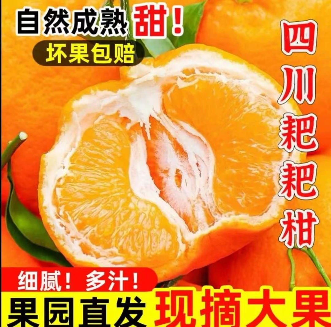 正宗头茬新鲜应季耙耙柑现摘现发带箱5斤