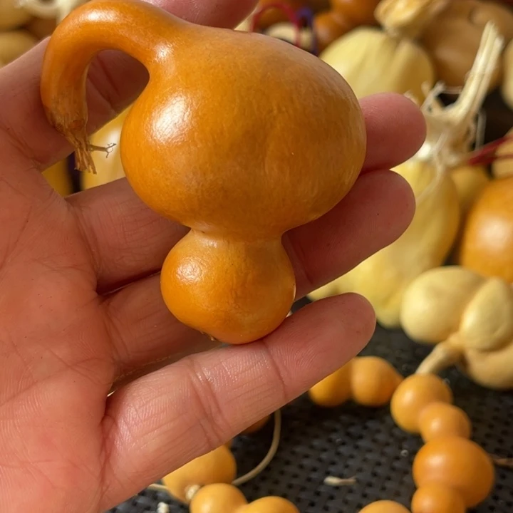 P***…葫芦哈哈哈哈哈哈哈哈哈哈