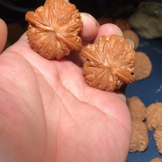 木41精品矮壮磨盘