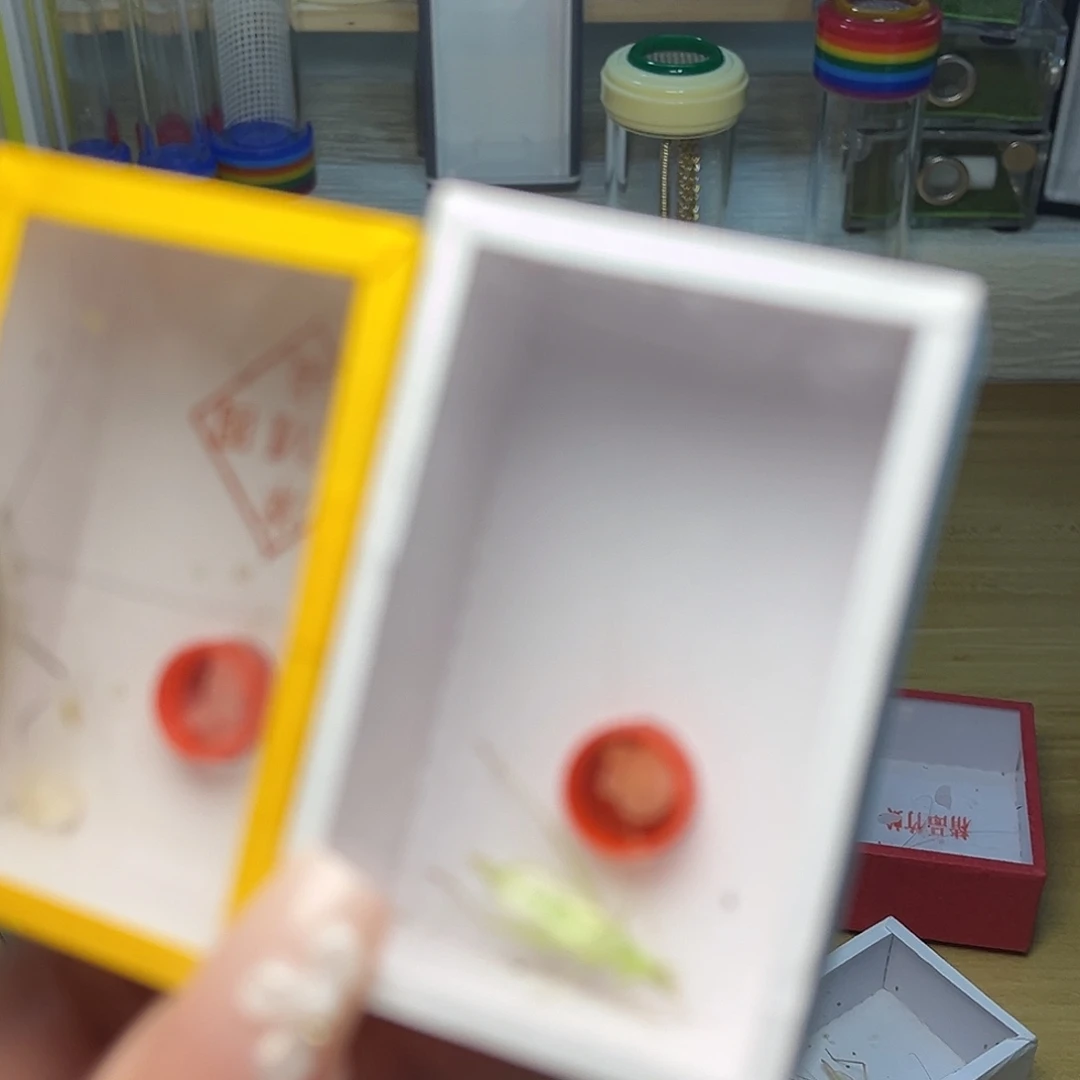 紫竹。  青竹。