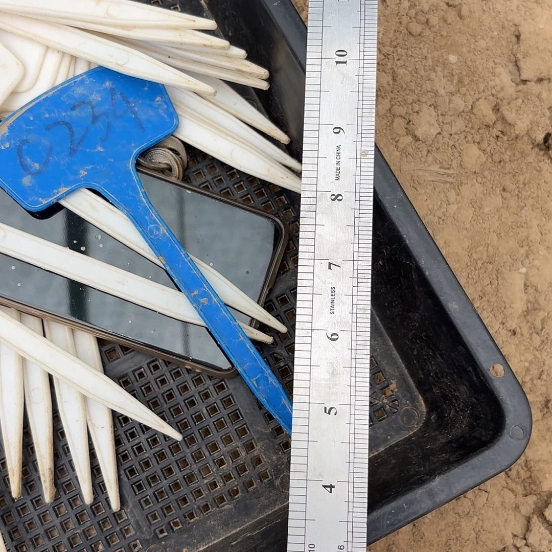 尺子，奥绿a2一斤瑕疵