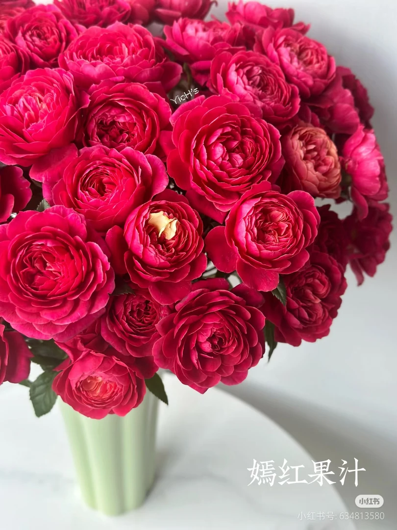 【盛间春事】嫣红果汁 任拍三单及以上包顺空鲜切花10支装%20不售后