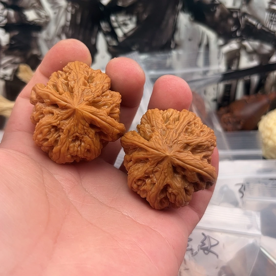 核桃大粗筋核桃43尺