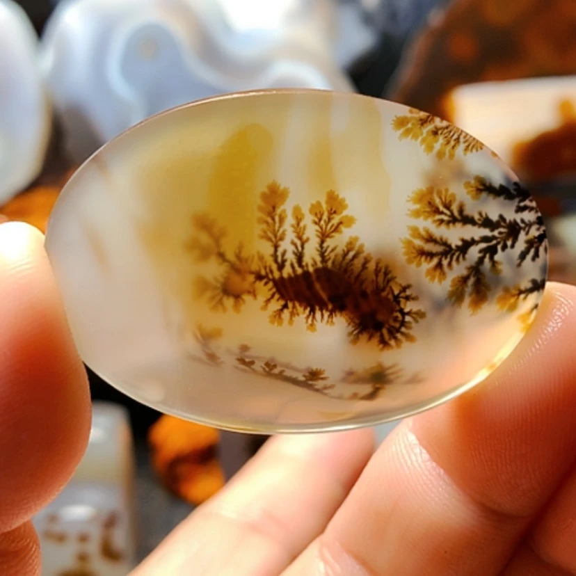 【闪购商品】玛瑙/玉髓颈饰未镶嵌小**猫