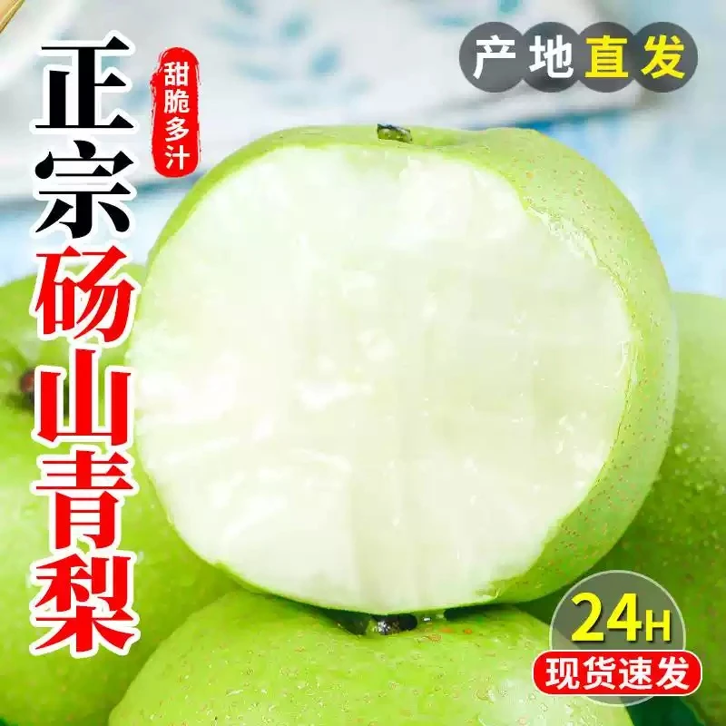 【产地直发】砀山青梨皇冠梨翠冠梨子新鲜水果整箱包邮 XY