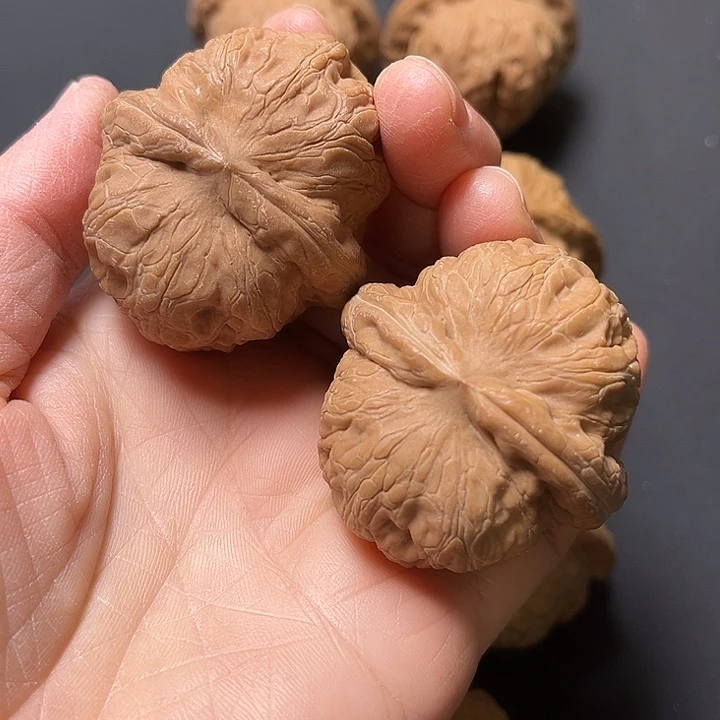 核桃白茶无修元宝42+