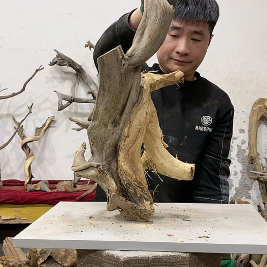 【闪购商品】柏木山*工我们都是好孩子