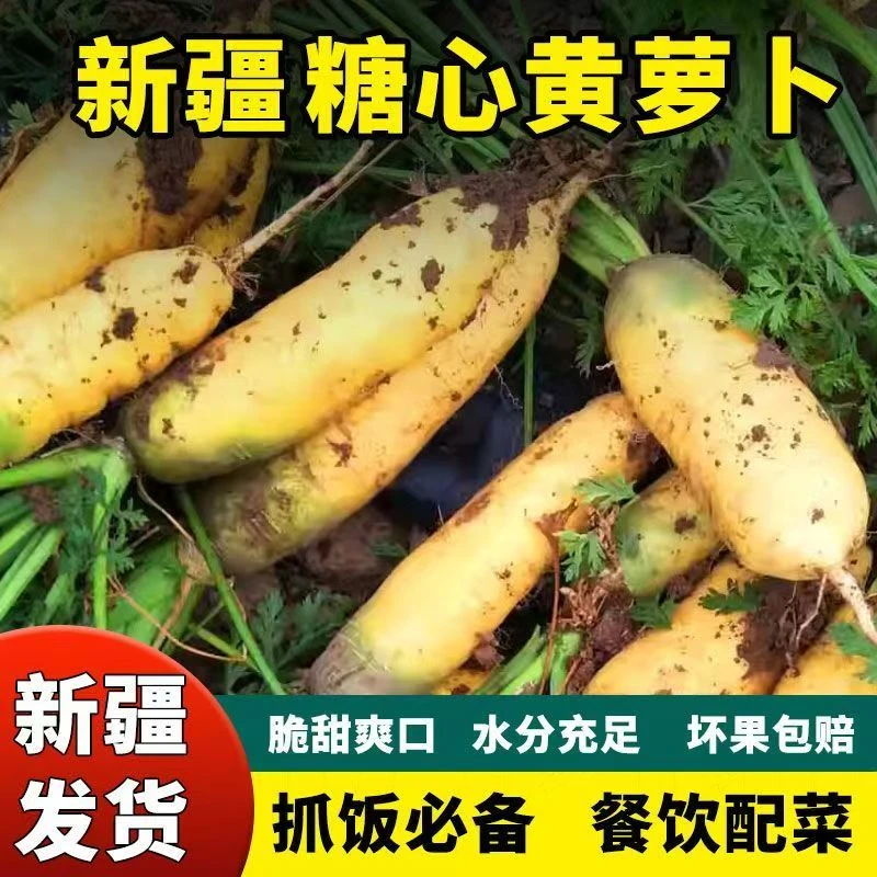 【产业援疆】新疆抓饭黄萝卜5斤 抓饭 鲜食 炒菜 榨汁 新鲜 带土