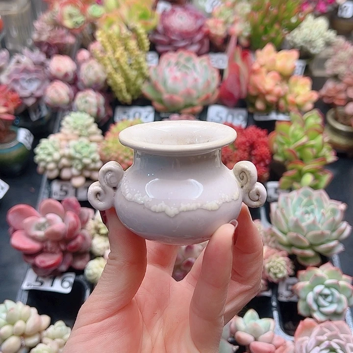 无铅玻璃姸*花钱花钱花钱花钱