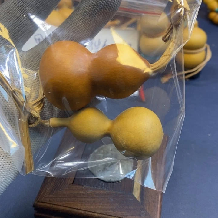 用***人这个时候应该可以